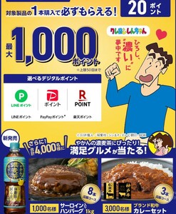 レシート懸賞応募 やかんの濃麦茶キャンペーン ８シール分 和牛カレーセットやハンバーグ当たる　必ずもらえるデジタルポイントも