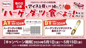 レシート懸賞応募 ハーゲンダッツを食べようキャンペーン ハーゲンダッツ商品詰合せ16個入りやオリジナル金のスプーン当たる　ベルク