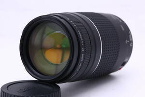 【美品】キヤノン CANON EF 75-300mm F4-5.6 III USM #12722