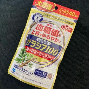 [最終本日限定]小林製薬　サラシア100 40日分