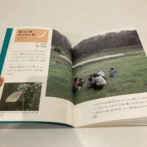 240517【ふしぎ新聞・付録付】月刊たくさんのふしぎ「日本じゅうの4月1日」1988年4月号第37号★福音館書店 絵本 スズキコージ_画像5