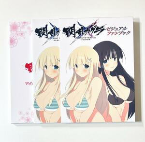 閃乱カグラ　ビジュアルファンブック 限定版