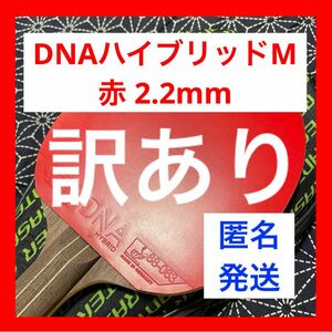 【ほぼ新品】DNA ハイブリッド M 赤 2.2mm 卓球 ラバー スティガ