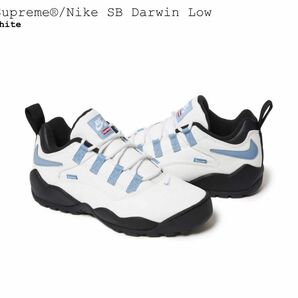 Supreme/Nike SB Darwin Low シュプリーム/ナイキ SB ダーウィン ロー