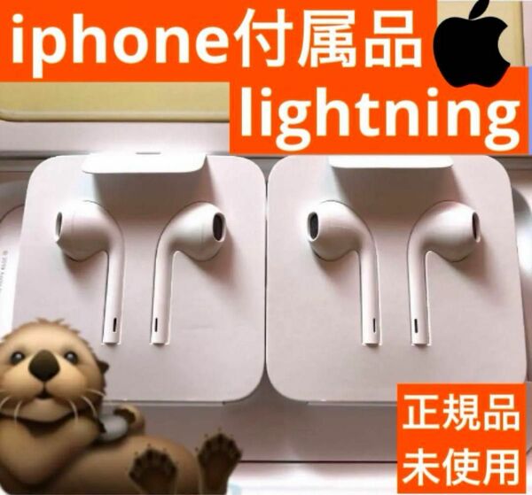 iPhone付属品 純正イヤホン ライトニング形状 Apple正規品 Lightning 2個