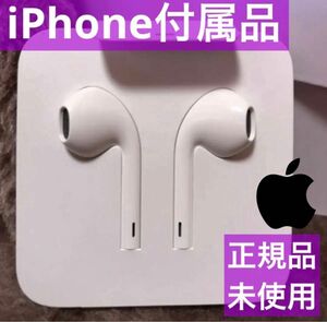 iPhone付属品 イヤホン 純正 ライトニング形状 Apple正規品 Lightning Apple 有線