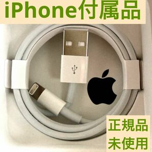 iPhone ライトニングケーブル 純正品 Apple正規品 未使用 純正ケーブル 1m lightning