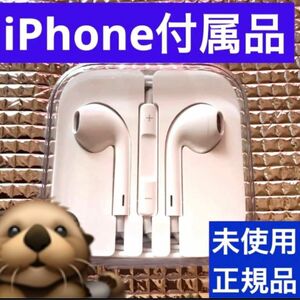 iPhone付属品 純正イヤホン イヤホンジャックタイプ Apple正規品 有線イヤホン 未使用