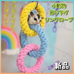 小動物おもちゃ　ペット　吊り下げロープ　カラフル　輪っか　フクロモモンガ　フック付き