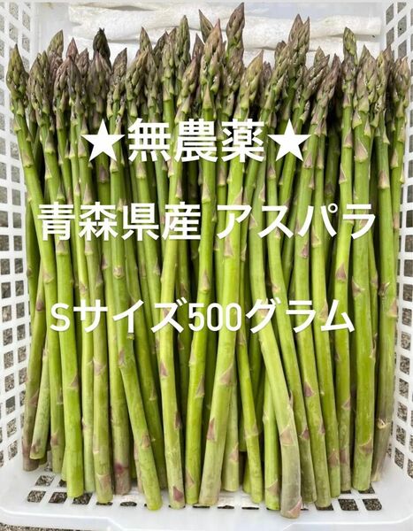 ★無農薬★ 青森県産 朝採り新鮮 アスパラ Sサイズ 500g