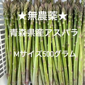 ★無農薬★ 青森県産 朝採り新鮮 アスパラガス Mサイズ500g!!