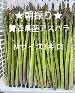 ★無農薬★即買OK!! 青森県産 朝採り新鮮 アスパラ Mサイズ1kg!!