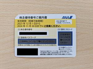 ANA/全日空 株主優待券 2024年11月30日まで 1枚 番号通知可