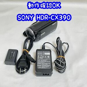 【動作OK】SONY HDR-CX390 デジタルビデオカメラ ハンディカム YouTube撮影や運動会などに