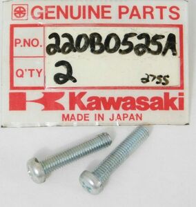 2 NOS 1972-1981 Kawasaki 5x25 Screw G5 KE KS KM KE125 KM100 KS125 OEM 220B0525A 海外 即決