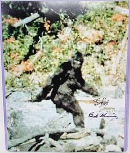 Bob Heironimus signed 8x10 photo 1967 Patterson Gimlin Film Bigfoot Suit 海外 即決