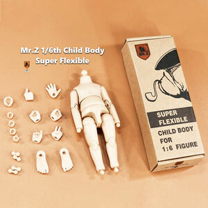 MR.Z 1/6 Body Flexible Action Figure 14CM Boy Doll Fit Animal series Head 海外 即決