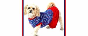 Top Paw Patriotic USA July 4th Red White Blue Silver Shiny Stars Dog Dress Small 海外 即決