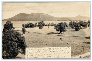 c1903 Mountain Ranch Horse View Lakeport California CA RPPC Photo Postcard 海外 即決