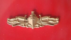 USN US NAVY SHIP SURFACE WARFARE MESS DRESS MINI QUALIFICATION BADGE G 海外 即決