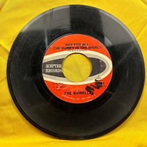 45 Record Scepter The Shirelles Foolish Little Girl/Not For All The Money 海外 即決