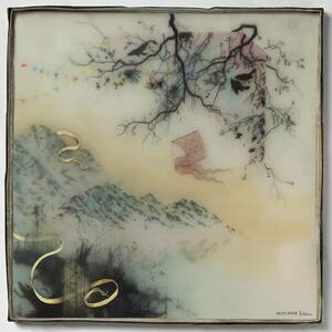 Novo Amor BIRTHPLACE New 新品未開封 Recycled Coloレッド / バイナル Record LP 海外 即決