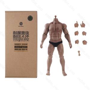 Worldbox DURABLE 1/6 Muscular Male Body SUPER STRONG AT030 fit Phicen 12" Figure 海外 即決