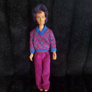 Vintage 1986 Jem and the Holograms Hasbro Rio Doll 海外 即決