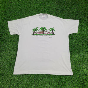 Vintage Funny Naughty Cow Shirt Large 21x26 White USA 海外 即決