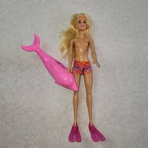 Barbie - Dolphin Magic Fun Friends. Dolphin Works. 2015 2016 Pink Barbie Swim 海外 即決