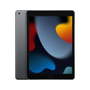 2021 Apple 10.2-inch iPad Wi-Fi 64GB - Space Gray (9th Generation) 海外 即決