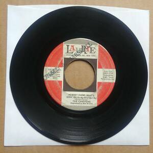 THE CHIFFONS Nobody Knows What's Goin On 45 7" R&B SOUL Record Vinyl 1965 LAURIE 海外 即決