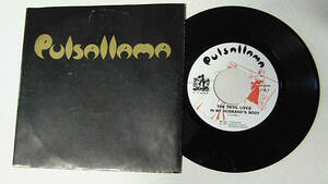 Pulsallama - Devil Lives in My Husband's Body / Ungawa 1982 Y Records 45 RPM 海外 即決