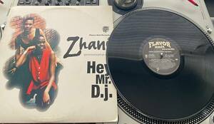 Zhane - Hey Mr. D.J. オリジナル 1993 Press 12" In Picture Cover VG+ 海外 即決