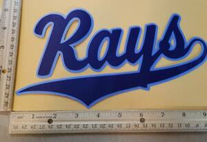 HUGE TAMPA BAY DEVIL RAYS IRON-ON PATCH 5.5" x 9.5" 海外 即決
