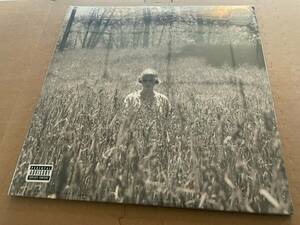 NEW SUPER RARE Taylor Swift - Folklore バイナル 2xLP IN THE WEEDS 海外 即決