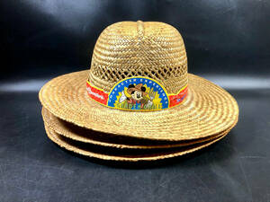 4x Garden Experience Character Experience Straw Hat ~ Epcot Disney World Nestle 海外 即決