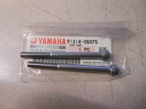 NOS Yamaha Bolt 1999-2002 XV1600 1995-2002 XV250 91314-06075 QTY 2 海外 即決