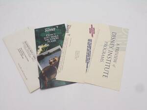 Vtg 1996 Walt Disney Institute Resort Coming Soon Brochure Flyer Price Preview 海外 即決