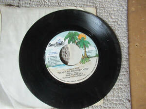 the TEMPESTS first one on the beach /never be another you SURFSIDE 45 海外 即決