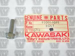 Kawasaki NOS NEW 92001-1091 Fuel Tap Bolt 6x20 AN AX EJ EN EX KD KE KL KX KZ KDX 海外 即決