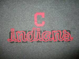 CLEVELAND INDIANS T SHIRT Defunct Name Tribe Baseball MLB Gray Tee Adult XL 海外 即決