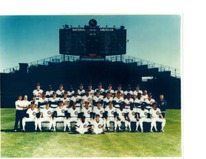 1989 CHICAGO CUBS 8X10 TEAM PHOTO BASEBALL ILLINOIS USA HOF MLB WRIGLEY 海外 即決