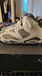 Jordan 6 Retro "Cool グレー" CT8529-100 29.5cm(US11.5) Men's 海外 即決