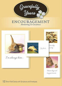 CARD-BOXED-ENCOURAGEMENT-MENTORING TO GREATNESS #145 (BOX OF 12) by Gracefully Y 海外 即決