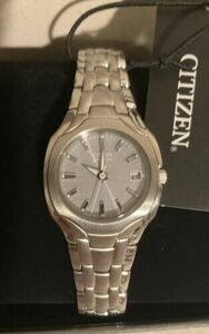 Citizen Watch EW1250-54A?Eco Drive?Silver?Dial Date?NEW?MRSP$275 海外 即決