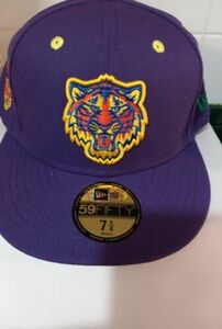 Detroit Tigers Purple New Era 59Fifty ROYGBIV Sz 7 5/8 . Comerica Park 2000 Pk 海外 即決