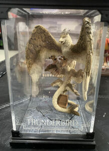 Fantastic Beasts And Where To Find Them Thunderbird Figure 海外 即決