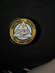 Boy Scout BSA Dupage Area Illinois Ewespinda District DP Council Patch 海外 即決