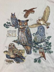 Field Guide To Owls 2-sided T-shirt Size Large Birds Of Prey Wildlife 海外 即決